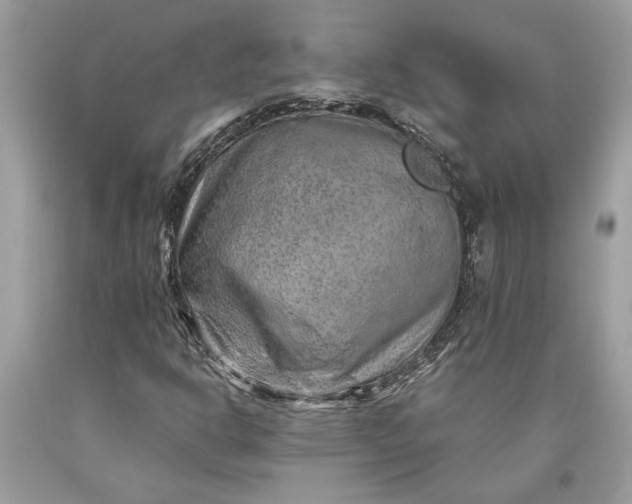 X0000093471302200710261034