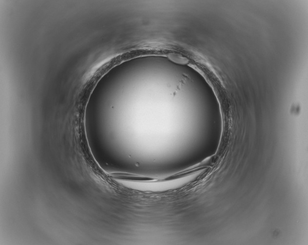 X0000093471304200710261034