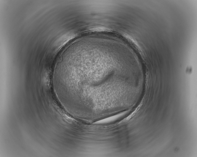 X0000093471305200710261034