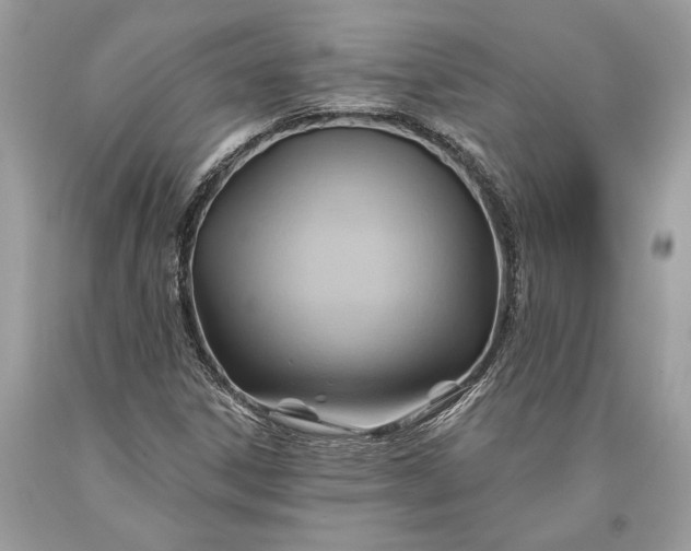 X0000093471306200710261034