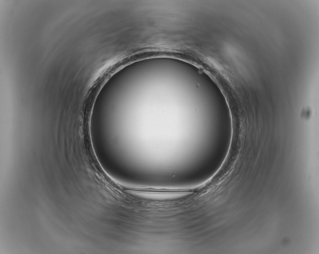 X0000093471307200710261034