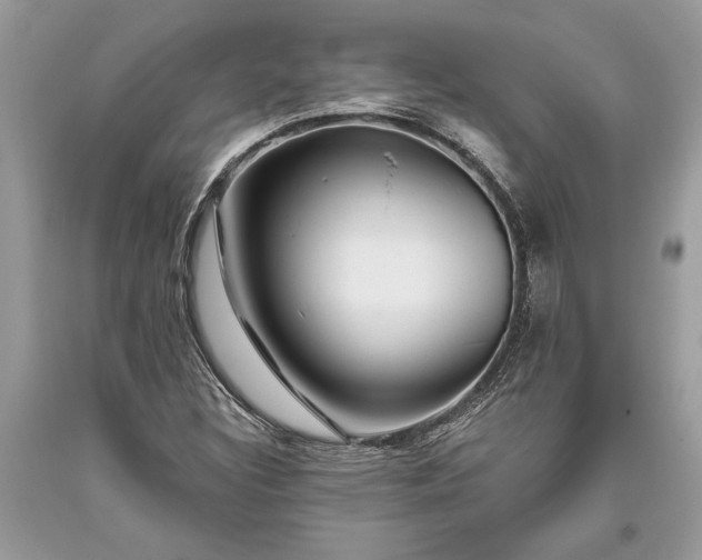 X0000093471308200710261034