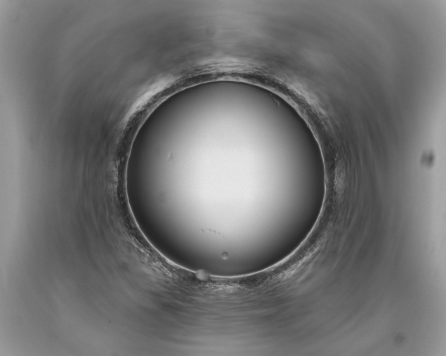 X0000093471309200710261034