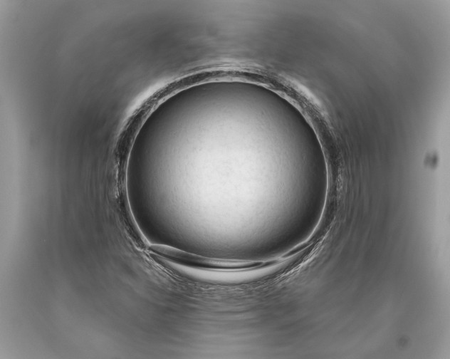 X0000093471310200710261034