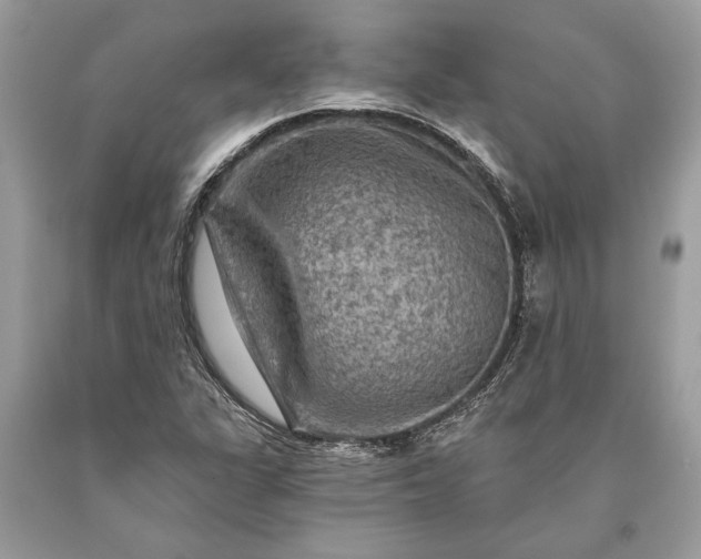 X0000093471311200710261034