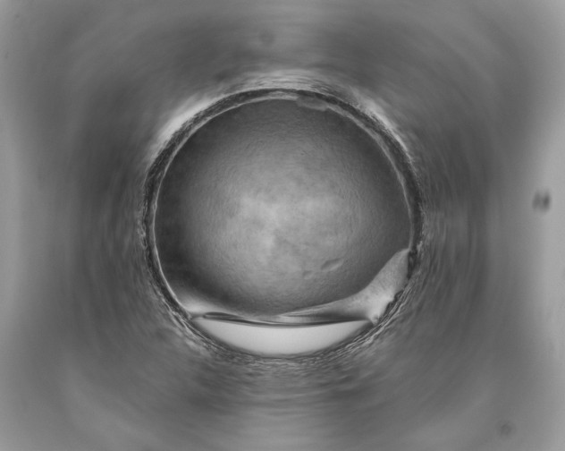 X0000093471312200710261034