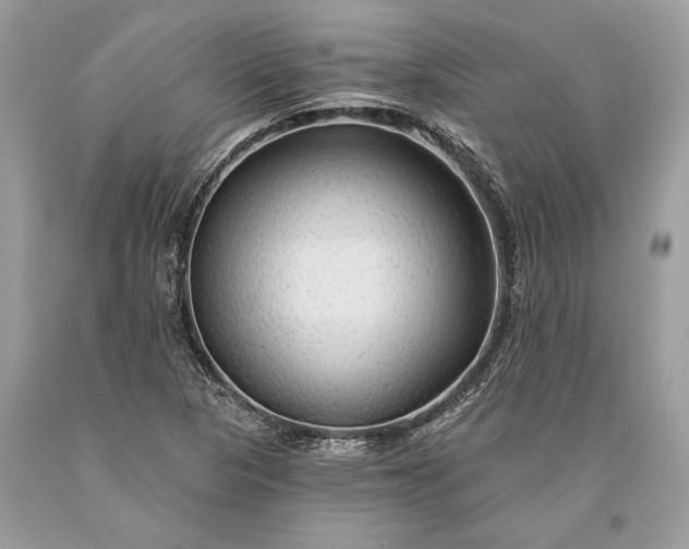 X0000093471313200710261034