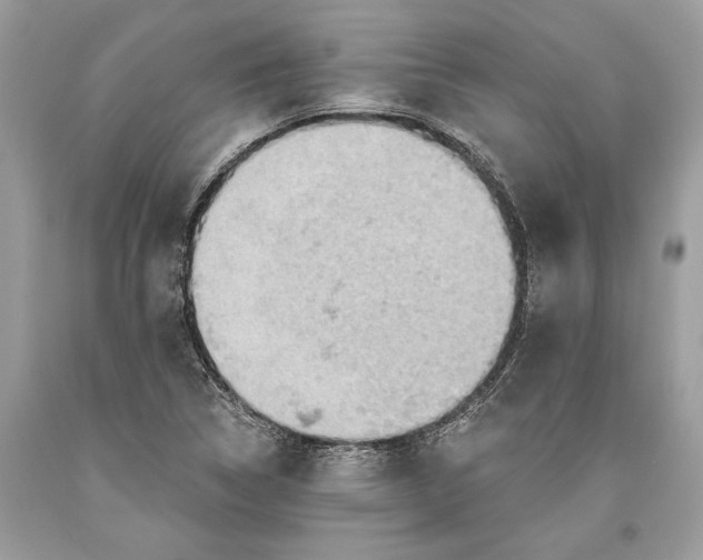 X0000093471314200710261034