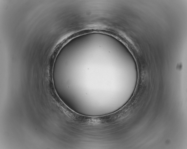 X0000093471315200710261034