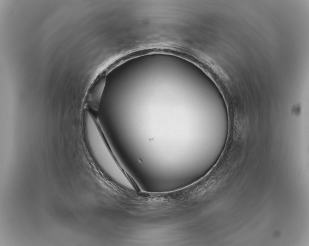 X0000093471316200710261034