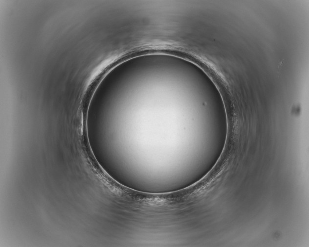 X0000093471317200710261034