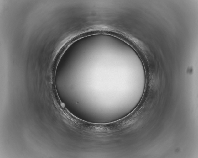 X0000093471318200710261034