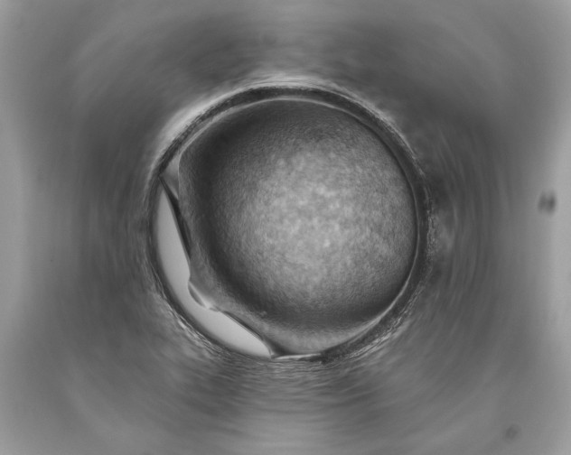 X0000093471319200710261034