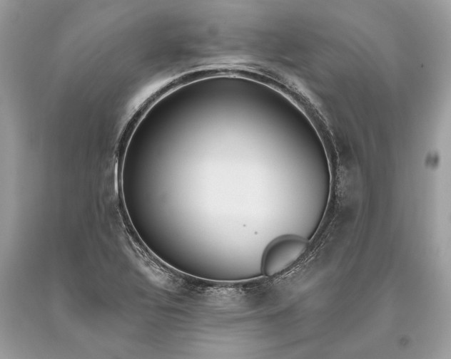 X0000093471320200710261034