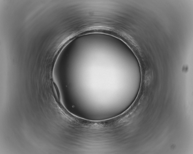 X0000093471321200710261034