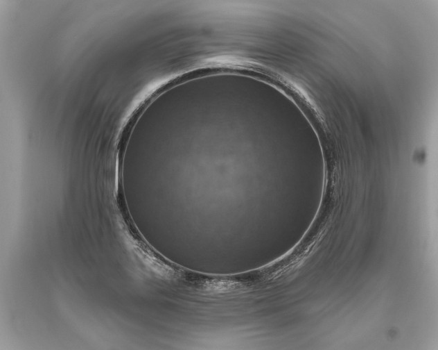 X0000093471323200710261034