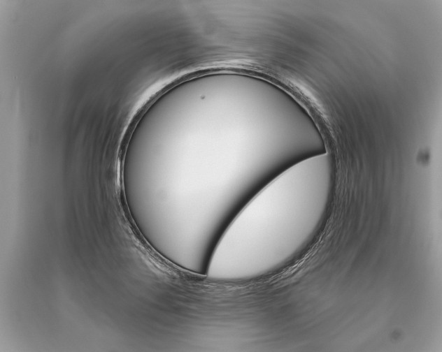 X0000093471324200710261034