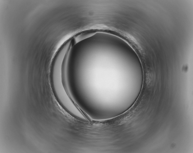 X0000093471326200710261034