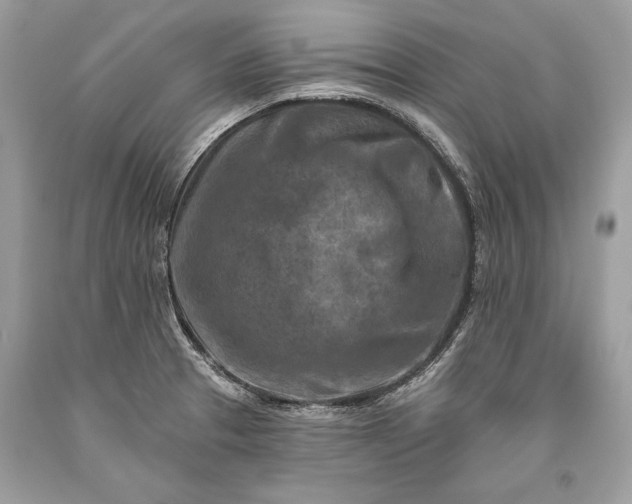 X0000093471329200710261034