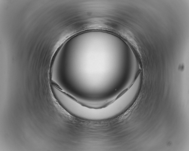 X0000093471330200710261034