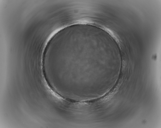 X0000093471331200710261034