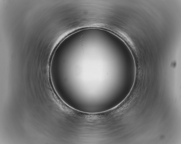 X0000093471332200710261034