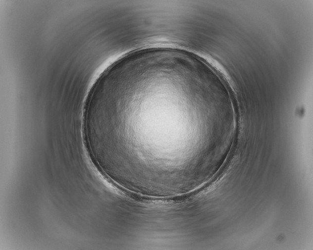 X0000093471333200710261034