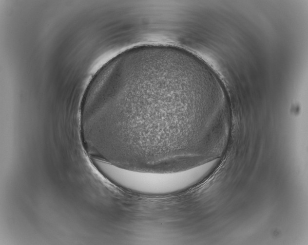 X0000093471335200710261034