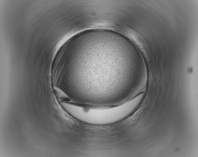 X0000093471336200710261034