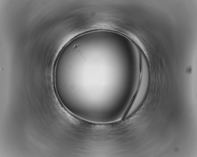 X0000093471339200710261034