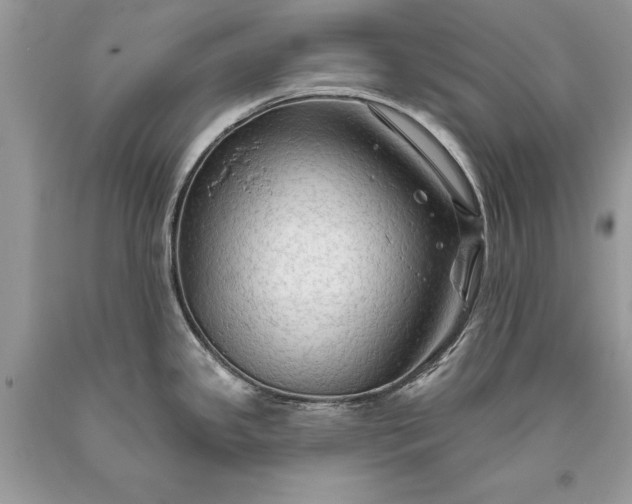 X0000093471341200710261034