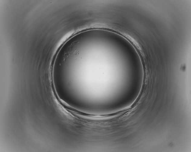 X0000093471342200710261034