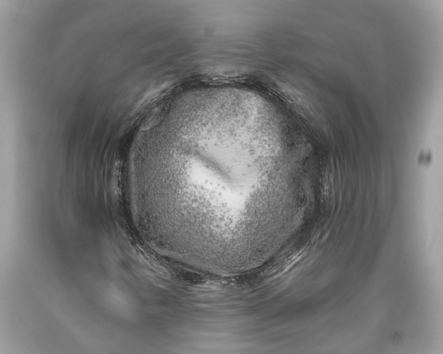 X0000093471346200710261034