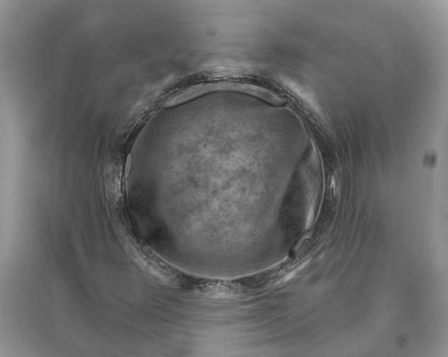 X0000093471348200710261034