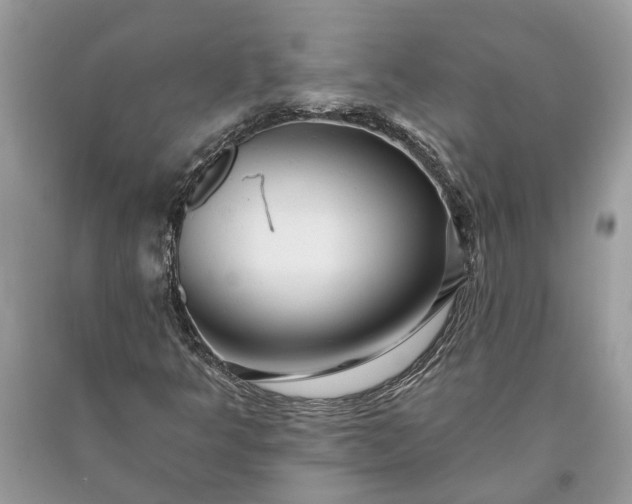 X0000093471349200710261034