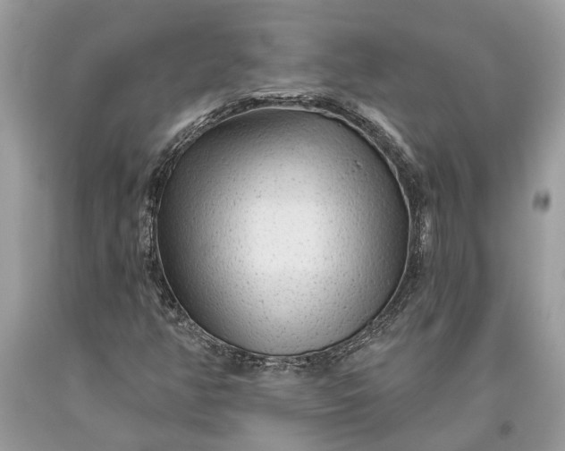 X0000093471350200710261034