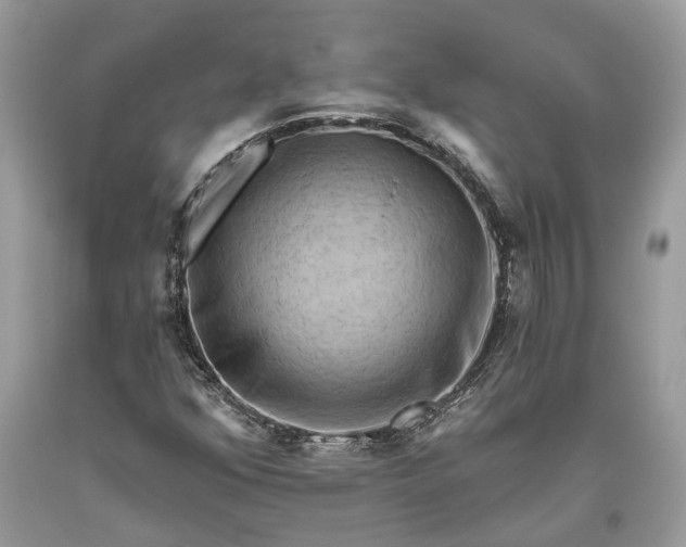 X0000093471352200710261034