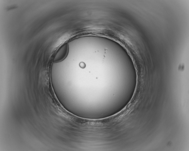 X0000093471354200710261034