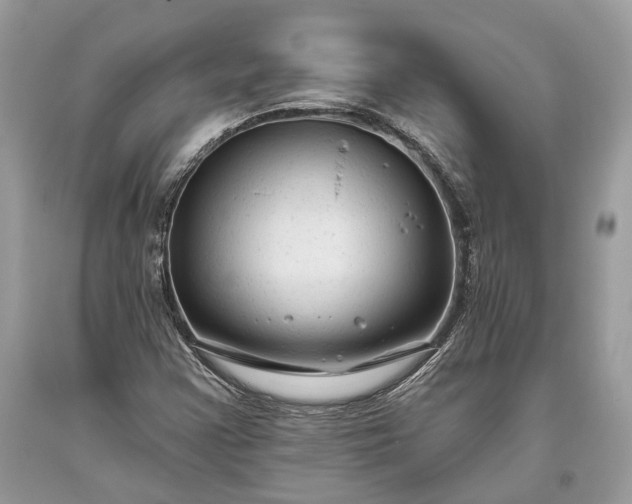 X0000093471355200710261034