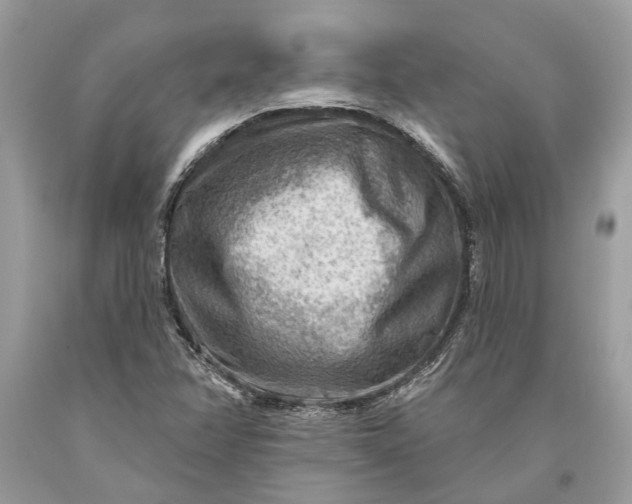 X0000093471358200710261034