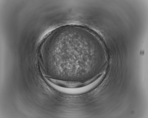 X0000093471359200710261034