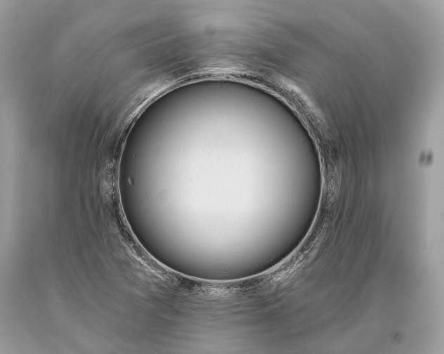 X0000093471361200710261034