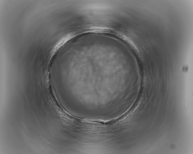 X0000093471362200710261034