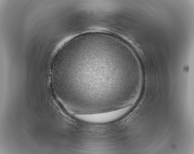 X0000093471363200710261033