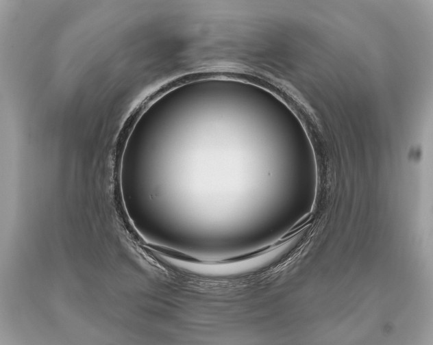 X0000093471364200710261033