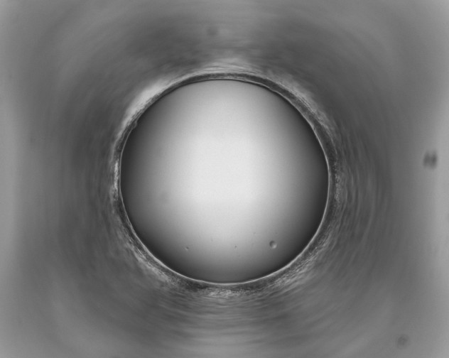 X0000093471366200710261033