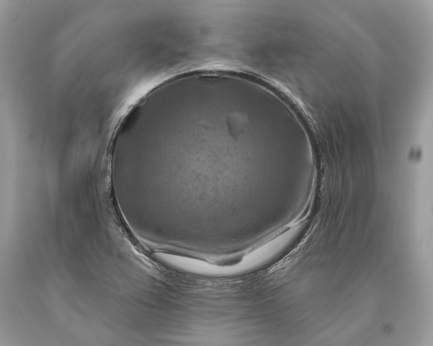 X0000093471367200710261033