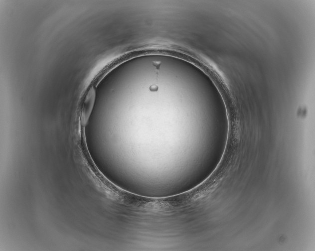 X0000093471368200710261033