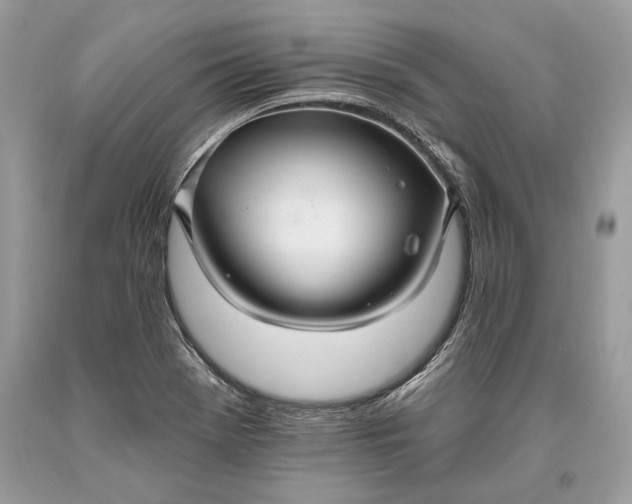 X0000093471369200710261033