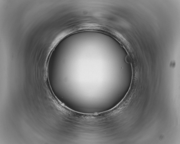 X0000093471370200710261033